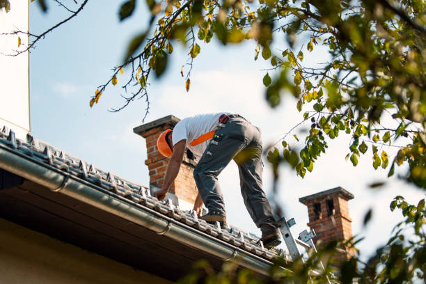 Best Slate Roofing Contractor  in Susitna North, AK