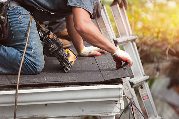 Best Shingle Roofing Installation  in Susitna North, AK