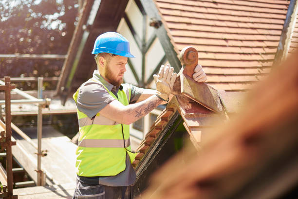 Best Roof Leak Repair  in Susitna North, AK