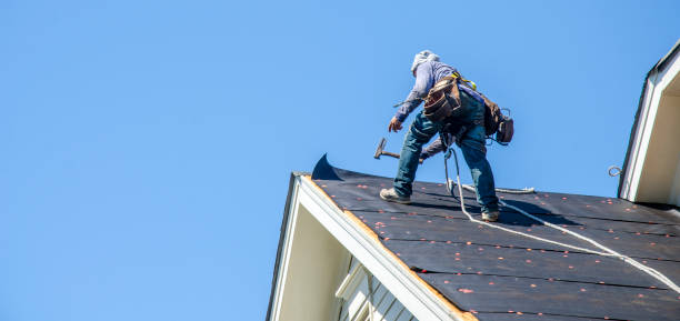 Best Roof Maintenance Services  in Susitna North, AK